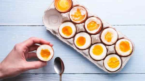 تصویر 5 از فروش تخم مرغ محلی ارگانیک + قیمت خرید به صرفه